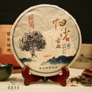 璟達2010年帕沙古樹